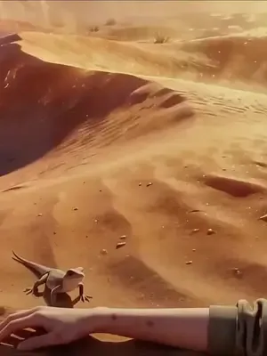 A senhora e seus 5 feras