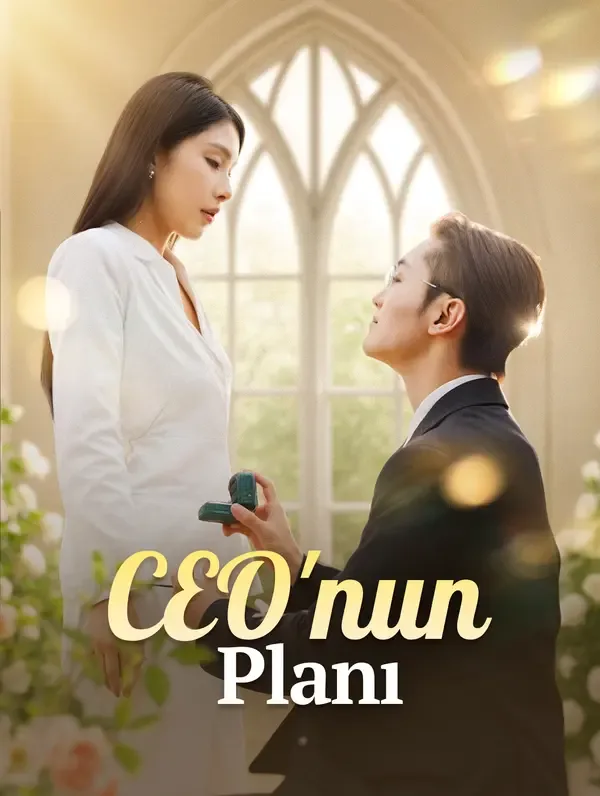 CEO'nun Planı