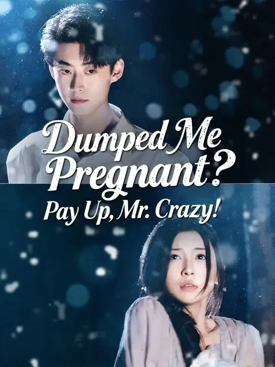 Dumped Me Pregnant? Pay Up, Mr. Crazy! (Dubbed)