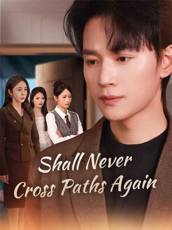 Shall Never Cross Paths Again (Dubbed)
