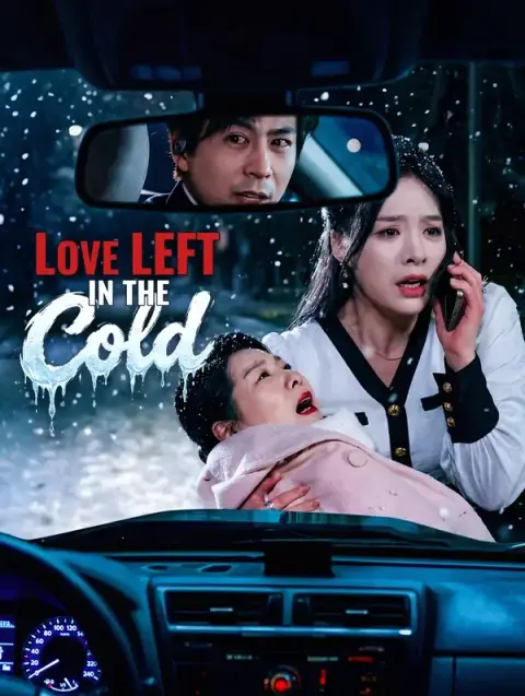 Love Left in the Cold (Dubbed)