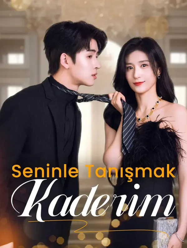 Seninle Tanışmak My Destiny