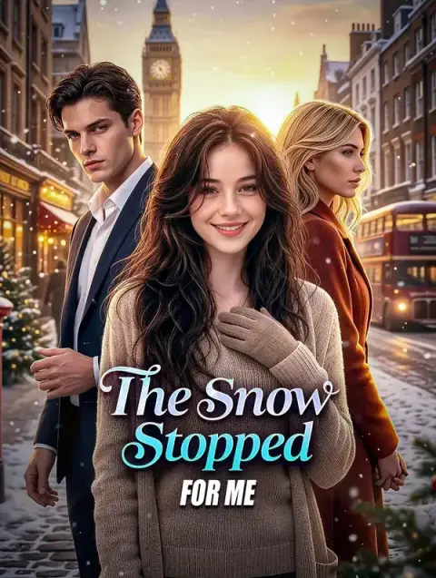 The Snow Stopped for Me