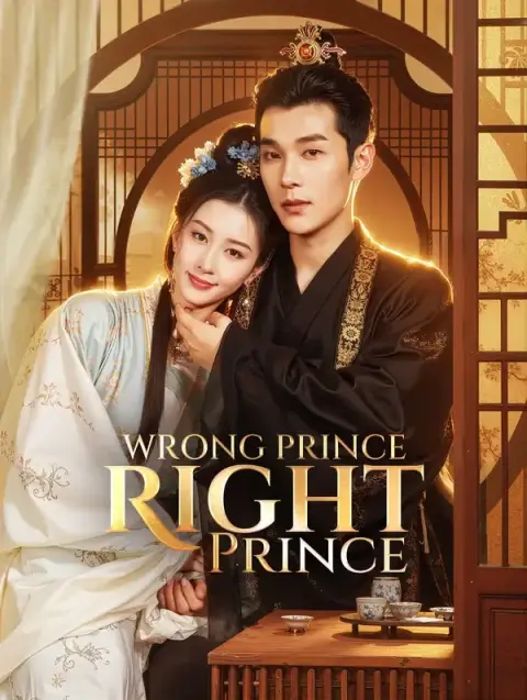 Wrong Prince, Right Prince(Dubbed